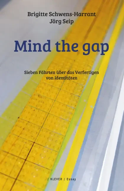 Mind the gap_seip.webp
